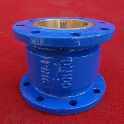 Katup Periksa Besi Cor Nodular Hc42x GGG50 QT450 Katup Periksa Limbah Diam