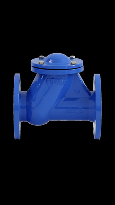 BS DIN Ball Check Valve Karet Kursi GGG50 PN16 QT450 Air Limbah Minyak Gas