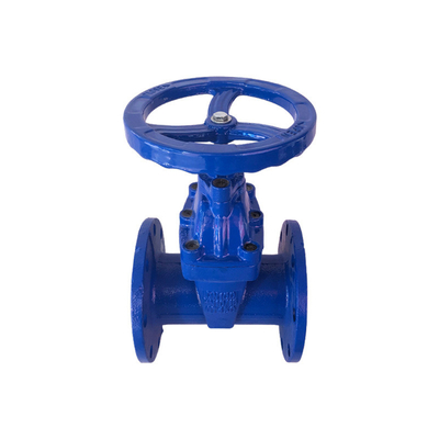 Resilient Duduk 2 Inch Pn16 Soft Seal Gate Valve GGG50 GGG40 GG25