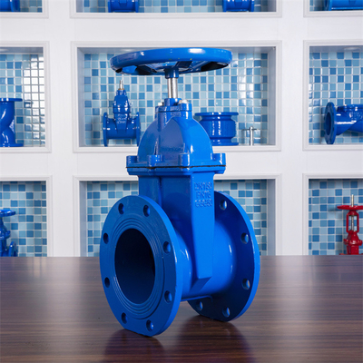 Flange Ends Elastic Seat Gate Valve PN16 DN600 Cast Iron Gate Valve DN150