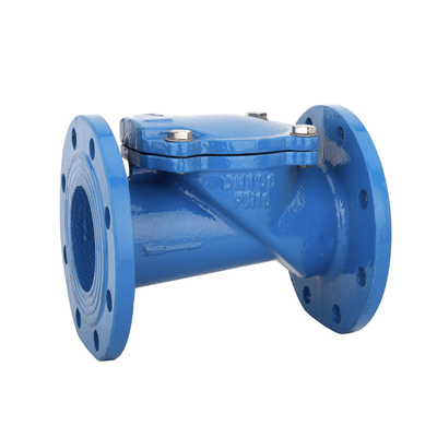 Pn16 Nodular Cast Iron Check Valve DN300 Pn10 Hemat Air Katup Diam