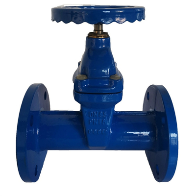 Ggg50 Karet Wedge elastis kursi P16 DIN katup gerbang
