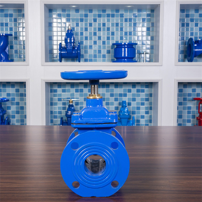 Cast Iron Stem Ductile Iron Resilient Seated Gate Valve PN10 PN16 Disesuaikan
