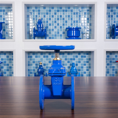 Cast Iron Stem Ductile Iron Resilient Seated Gate Valve PN10 PN16 Disesuaikan