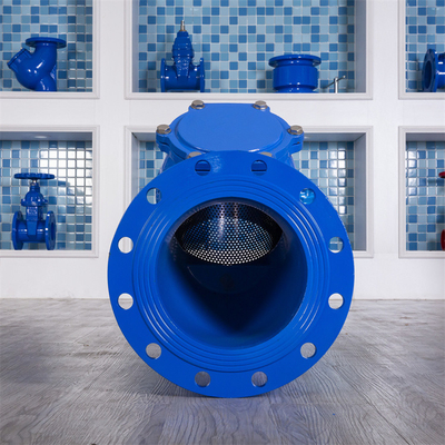 Ggg40 Flange Type Strainer Air Limbah DN200 Stainless Steel Threaded Y Strainer