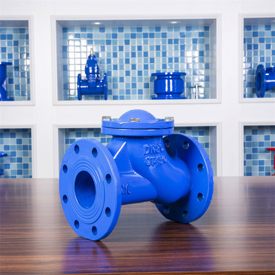 Cast Iron DN100 Flanged Swing Check Valve PN250 GGG50 Pengolahan Air